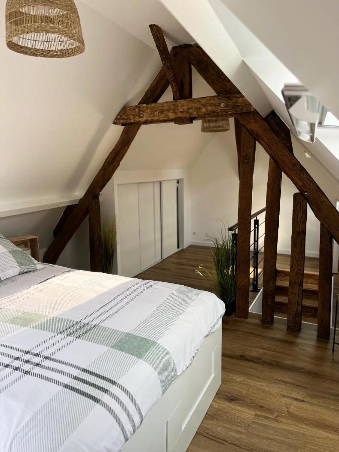 Le Duplex Apartment Auxerre Bagian luar foto